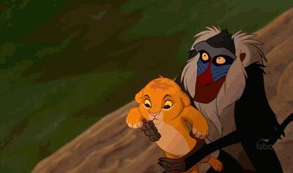 Roi lion